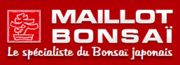 Maillot Bonsais