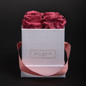 Atelier 19 - box clasic 4 roses bois de rose - Fleur Stabilisée