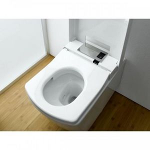 WC japonais - WC et sanitaires