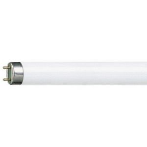Philips - tube fluorescent 1381447 - Tube Fluorescent