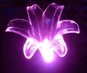 FEERIE SOLAIRE - pic solaire fleur de lys lumineuse 5 couleurs 76cm - Photophore Pique Jardin