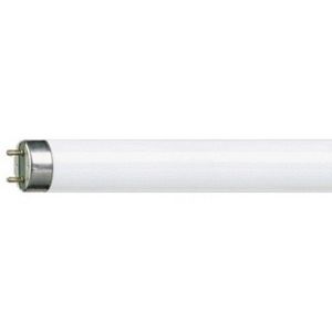 Philips - tube fluorescent 1381387 - Tube Fluorescent