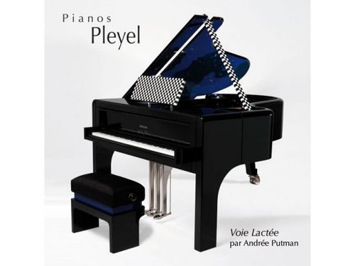 PIANOS PLEYEL - Piano demi-queue-PIANOS PLEYEL-Voie lactée