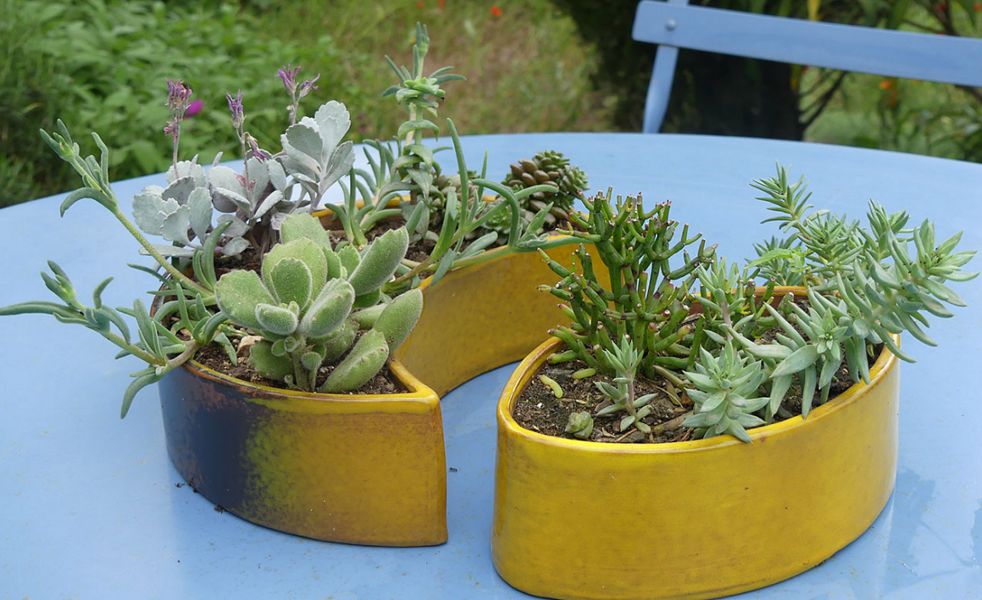MAISON CASSAR Flower box Window box Garden Pots  | 