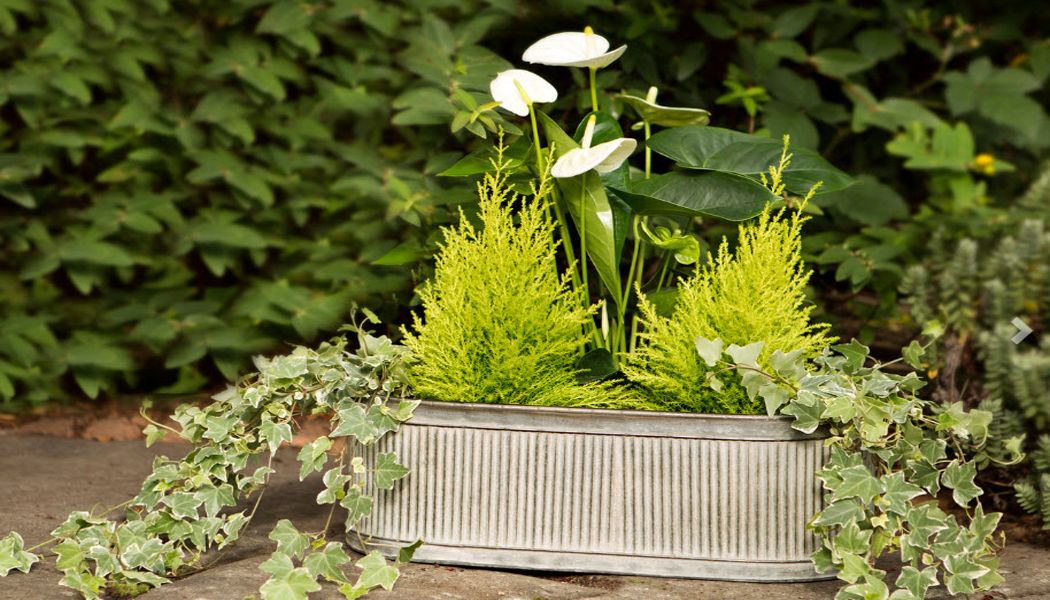 LONDON ORNAMENTS Flower box Window box Garden Pots  | 