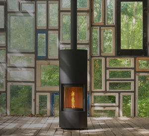 Stoves, hearths, enclosed heaters