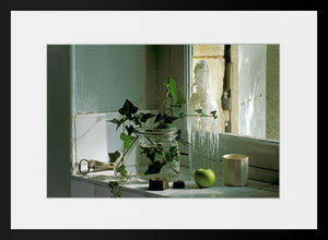 PHOTOBAY - bouquet de lierre en décembre - Photography