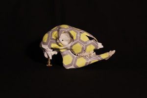 CRANATOMIE -  - Decorative Skull