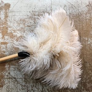 MAISON Empereur - plumes d'autruche - Feather Duster
