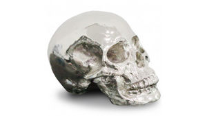 mobilier moss - brain - Decorative Skull