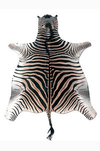 MA SALGUEIRO -  - Zebra Skin