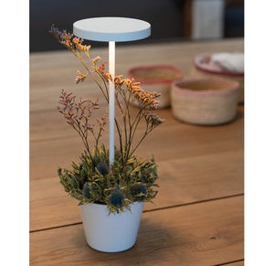 Zafferano - poldina reverso - Table Lamp