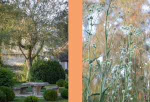 SOLSTICE ATELIER - la petite ronce - Landscaped Garden