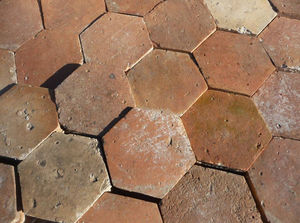 VESTIGES DE FRANCE - héxagonale - Terra Cotta Tile