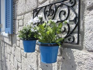Odeco -  - Wall Mounted Planter