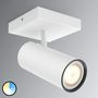 LED bulb-Philips-Spot LED 1381227