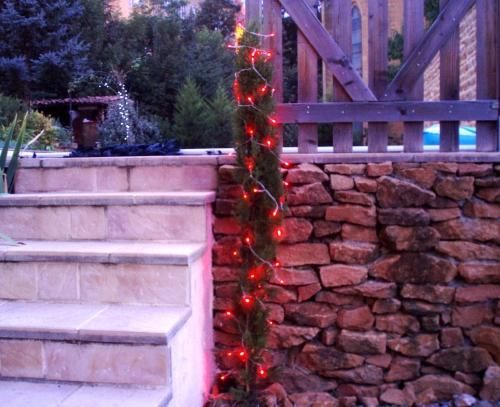 FEERIE SOLAIRE - Lighting garland-FEERIE SOLAIRE-Guirlande solaire 60 leds rouges à clignotements 7