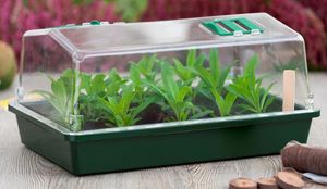 NATURE - petite serre semis et bouturage - Mini Treibhaus