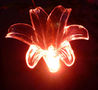 Gartenwindlicht mit Erdspieß-FEERIE SOLAIRE-Pic solaire fleur de lys lumineuse 5 couleurs 76cm