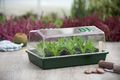 Mini Treibhaus-NATURE-Petite serre semis et bouturage
