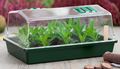 Mini Treibhaus-NATURE-Petite serre semis et bouturage
