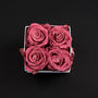 Stabilisierte Blume-Atelier 19-Box clasic 4 roses bois de rose