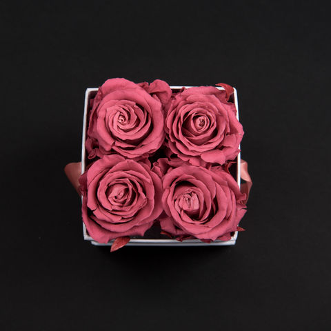 Atelier 19 - Stabilisierte Blume-Atelier 19-Box clasic 4 roses bois de rose