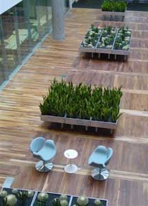Indoor Garden Design - bbc - Planta Natural De Interior
