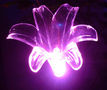 Candil de jardín-FEERIE SOLAIRE-Pic solaire fleur de lys lumineuse 5 couleurs 76cm