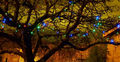 Guirnalda luminosa-FEERIE SOLAIRE-Guirlande solaire multicolore 100 leds 11,8m