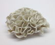 Escultura-PASCALE MORIN - Sculpture Porcelaine - By-Rita