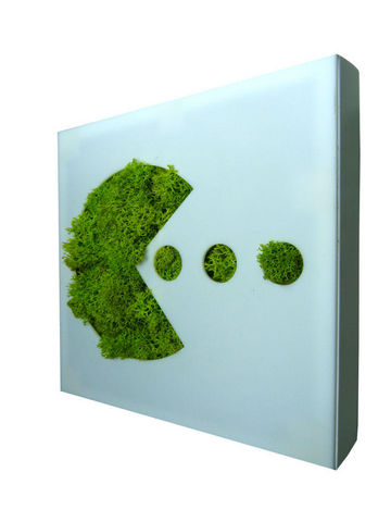FLOWERBOX - Cuadro vegetal-FLOWERBOX-Tableau végétal picto pac-man en lichen stabilisé 