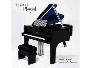 PIANOS PLEYEL - voie lactée - Pianoforte A Mezza Coda