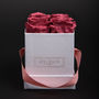 Fiore stabilizzato-Atelier 19-Box clasic 4 roses bois de rose