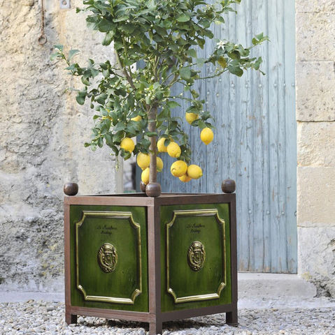Poterie de La Madeleine - Vaso stile Orangerie-Poterie de La Madeleine-émaillé vert